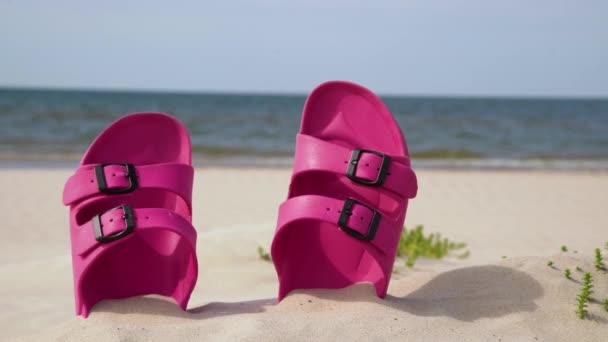 Vaaleanpunaiset sandaalit rannalla kauniina aurinkoisena päivänä. Tohvelit hiekassa meren rannalla. Varvassandaalit rannalla meren rannalla. - Materiaali, video