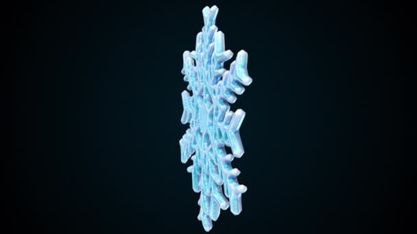 Copo de nieve de cristal giratorio contra negro, generado por computadora. 3d representación invierno telón de fondo - Imágenes, Vídeo
