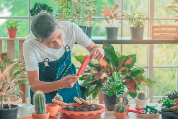 Hombre jubilado mayor pasando un buen rato tomando fotos de plantas en su jardín de invernadero. concepto de estilo de vida de jubilación feliz. - Foto, imagen