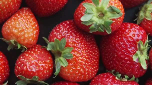 Erdbeeren rotieren auf schwarzem Hintergrund. Natürliche Produkte sind umweltfreundlich. - Filmmaterial, Video
