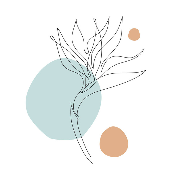Abstrakti trooppinen kukka. Strelitzia ääriviivat piirustus. Minimaalinen taide kukka geometriset muodot backgroud. Moderni mustavalkoinen kuvitus. Tyylikäs jatkuva linja piirustus - Valokuva, kuva