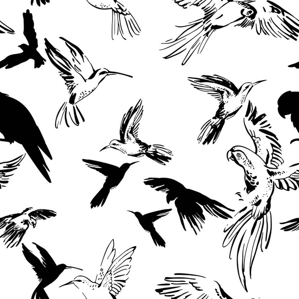 Flying exotic birds seamless pattern. Black and white sketch of parrots and hummingbirds. Art background for textile, fabric, wallpaper etc. Vector, EPS 10 - Foto, Imagen