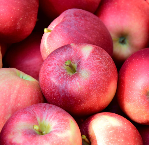Kırmızı olgun lezzetli elmalar arka plan ve doku olarak - Fotoğraf, Görsel
