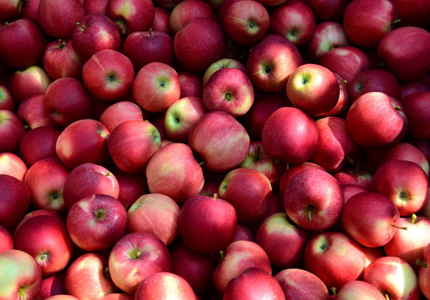 Vörös érett finom alma, mint a háttér és a textúra - Fotó, kép