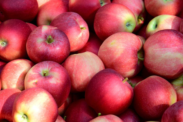 Червоні стиглі смачні яблука як фон і текстура
 - Фото, зображення