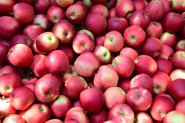 Rode rijpe heerlijke appels als achtergrond en textuur - Foto, afbeelding