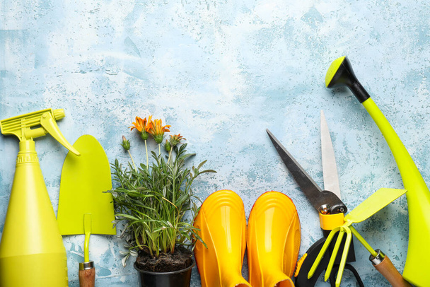 Gardening tools on color background - Photo, Image