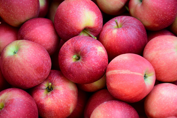 Rote reife köstliche Äpfel als Hintergrund und Textur - Foto, Bild