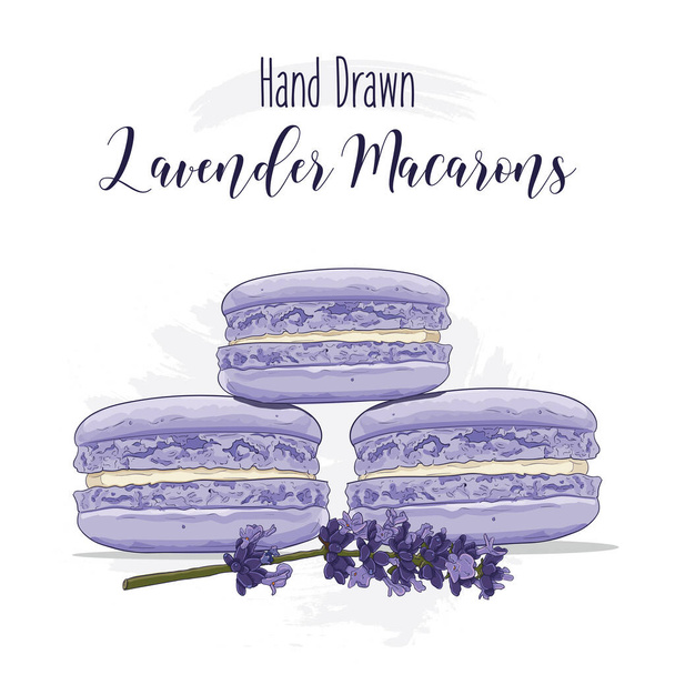 Macarons français colorés dessinés à la main avec saveur de lavande - Vecteur, image