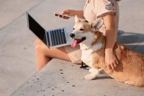 Woman with cute corgi dog walking outdoors - Fotó, kép