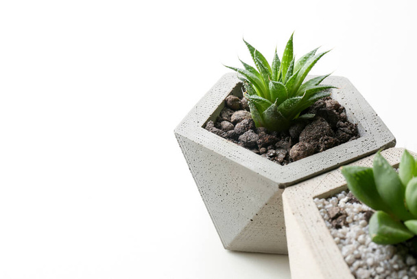 Succulent plants in concrete pots on white table, closeup. Space for text - Foto, Bild