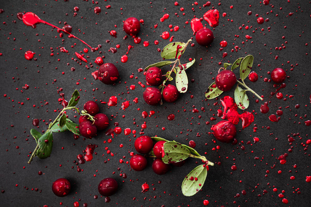 Lingonberries, twigs, dark, background, bright, beautiful, splashes,  red, burgundy, paint, Creative, autumn, concept, flat lay, top view - Foto, afbeelding