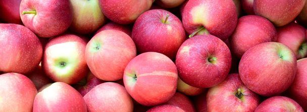 Κόκκινα ώριμα νόστιμα μήλα ως φόντο και υφή - Φωτογραφία, εικόνα