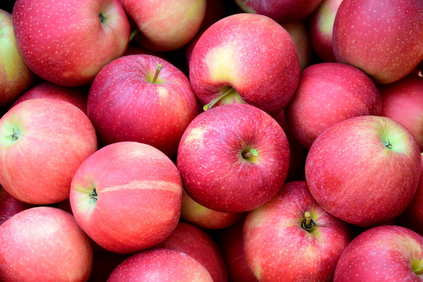 Manzanas rojas maduras deliciosas como fondo y textura - Foto, Imagen