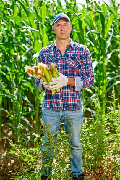 Man farmer with a crop of corn - Foto, Bild