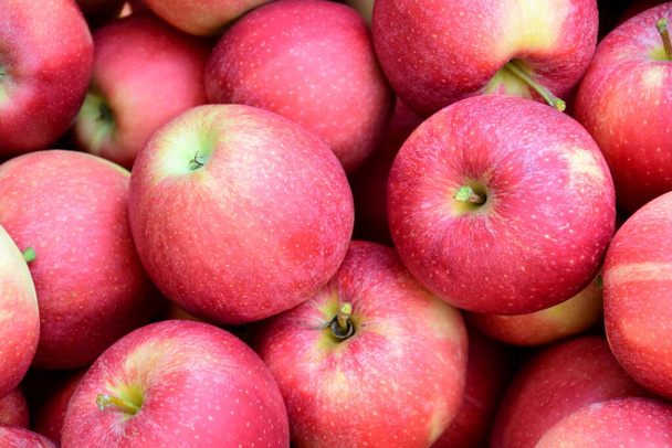 Pommes mûres rouges délicieuses comme fond et texture - Photo, image
