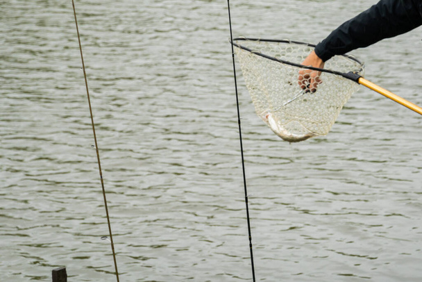 Łowienie ryb na jeziorze, odpoczynek poza miastem - Zdjęcie, obraz