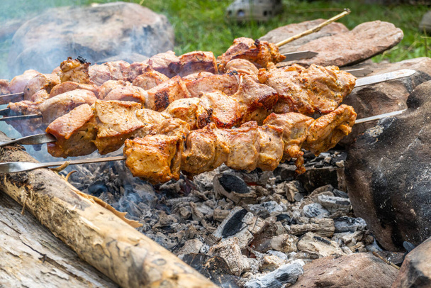 Shish kebab gril jídlo na pozadí - Fotografie, Obrázek