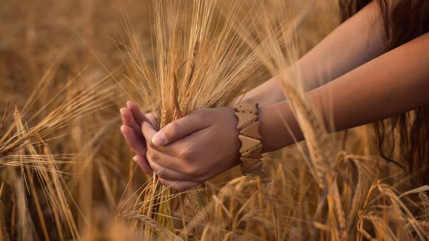 Mädchenhände berühren Weizenähren. Geringe Schärfentiefe auf der Hand. Bild mit selektiver Fokussierung, Tonung und Rauschen - Foto, Bild