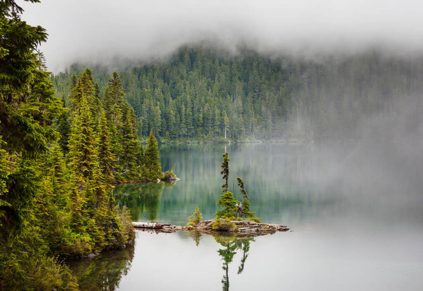 Ködös hegyi tó a korai nyugodt reggel a hegyekben. - Fotó, kép