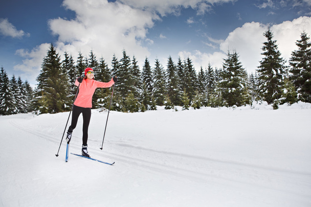 cross-country skiing - Foto, Imagem