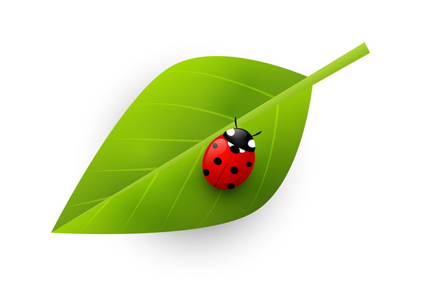 Red ladybug - Διάνυσμα, εικόνα