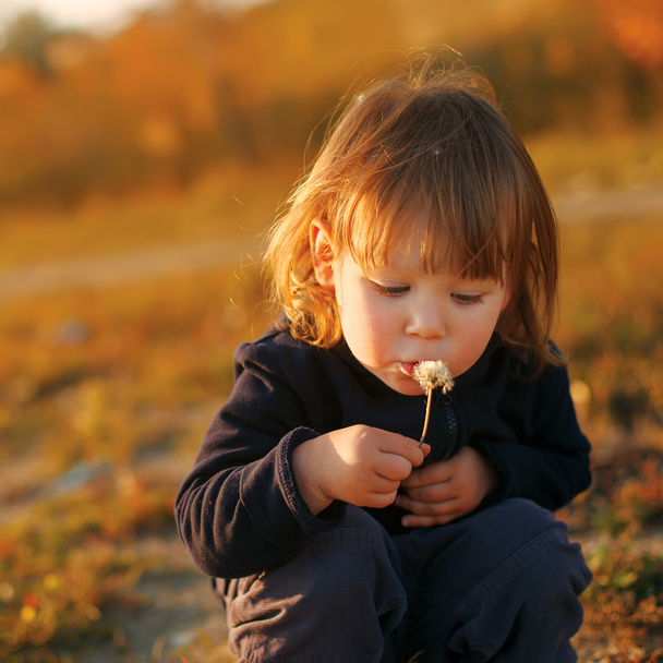 Beautiful child blowing away dandelion flower - Foto, Imagen