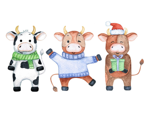 Akvarel ilustrace se třemi legračními býky. Roztomilá zvířata v zimním oblečení. Kreslené a dětinské postavy. - Fotografie, Obrázek
