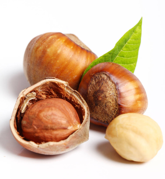 Close up of fresh hazelnuts against white background - Photo, Image