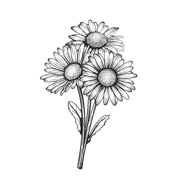 beautiful monochrome, black and white daisy bouquet flowers isolated. for greeting cards and invitations of the wedding, birthday, Valentine's Day, mother's day and other seasonal holiday, - Vector, imagen