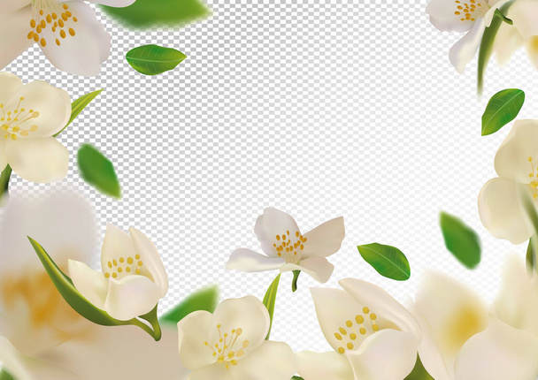 White flower jasmine with green leaf. Blooming jasmine, design for cosmetic product, tea, perfume, essential oil. Beautiful jasmine background. Banner for you health products. 3d vector illustration - Vector, Image