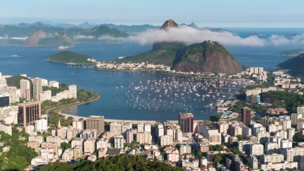 Pao Acucar або Цукровий буханець і затока Ботафого, Ріо - де - Жанейро, Бразилія, Південна Америка  - Кадри, відео