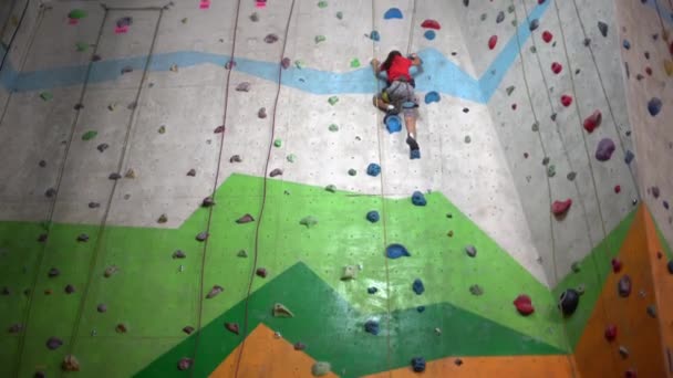 Ένα κοριτσάκι σκαρφαλώνει στον τοίχο σε ένα γυμναστήριο με πέτρες. - Πλάνα, βίντεο