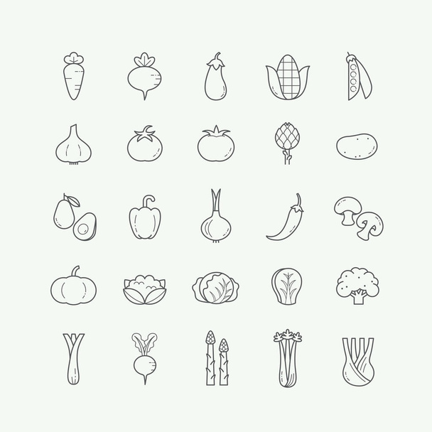 Вегетарианские, овощные, овощные иконы тонкой линии набор. Набор иконок овощной линии, стиль контура. - Вектор,изображение