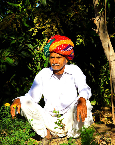 Hinduistický farmář sedící v zahradě pod mangovníkem a oblečený v turbanu a šatech podle indické kultury - Fotografie, Obrázek