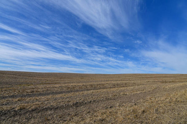 Die herbstliche ländliche Landschaft des Feldweges, der durch bewirtschaftete landwirtschaftliche Felder führt, im Hintergrund ein erstaunlich blauer Himmel. Kopierraum. - Foto, Bild