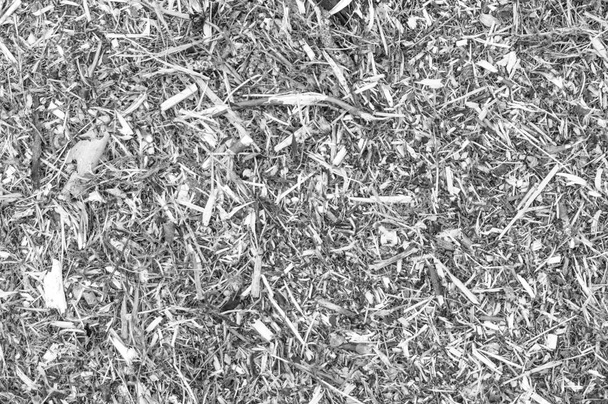 Un montón de virutas y restos de una textura de fondo de árbol, virutas de madera corteza - Foto, imagen
