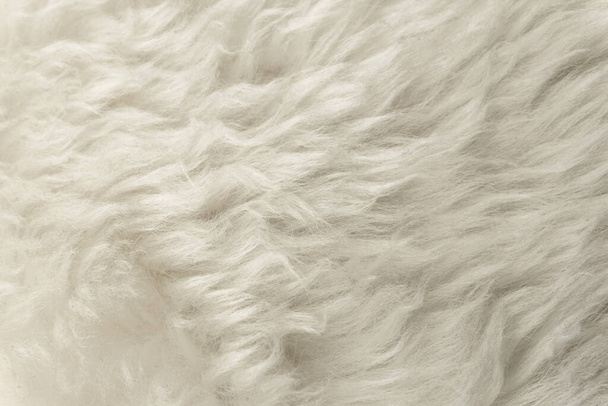 Textura de lana esponjosa blanca, fondo de lana natural, textura de piel de cerca para diseñadores, anima de piel larga ligera - Foto, imagen