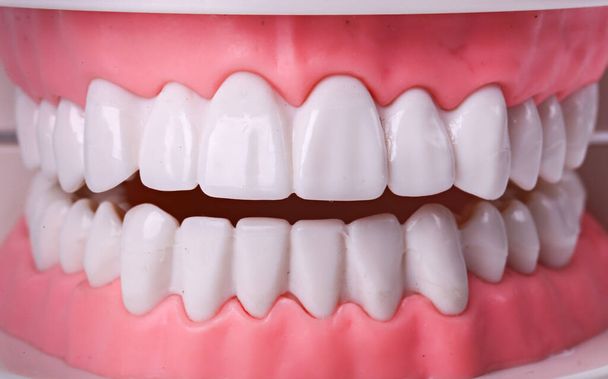 Dentes brancos na mesa - Foto, Imagem