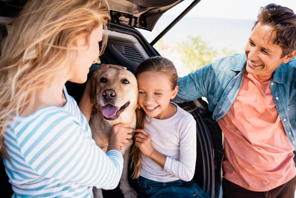 Selective focus of woman petting golden retriever near daughter and husband while traveling in car  - 写真・画像
