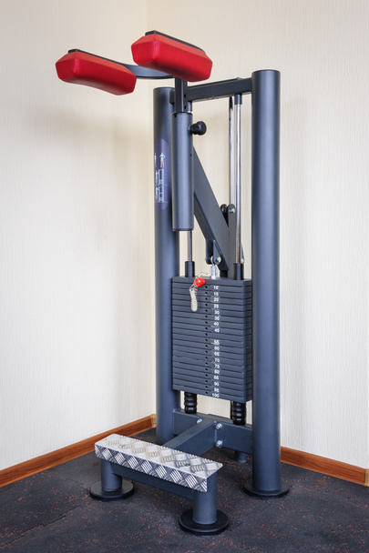 staand kalf werpt gym training machine - Foto, afbeelding