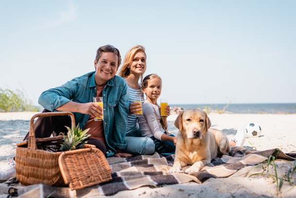 Selective focus of family holding glasses of orange juice near golden retriever on beach  - Photo, Image