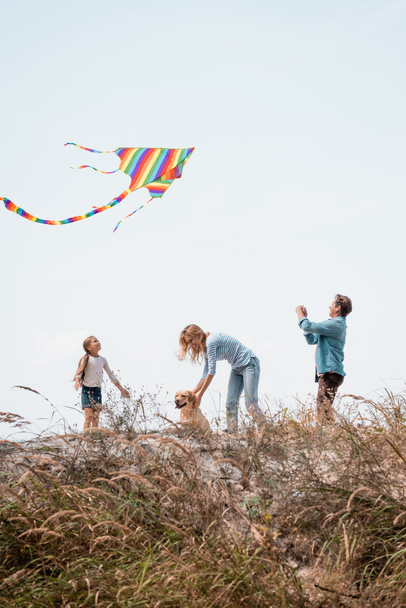 Selective focus of man holding kite near wife and daughter with golden retriever on grassy hill - Foto, immagini