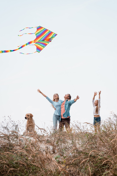 Selective focus of parents with kite hugging near daughter and golden retriever on grassy hill - 写真・画像