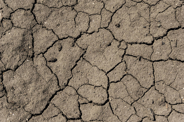 Rissige Oberfläche der grauen Bodenstruktur Hintergrund, getrocknete und gehackte graue Erde, alte Risse dunklen Boden, Nahaufnahme, Erosion - Foto, Bild