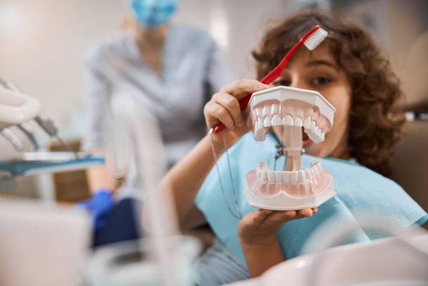 Niño curioso explorando accesorios de mandíbula en la clínica dental - Foto, Imagen
