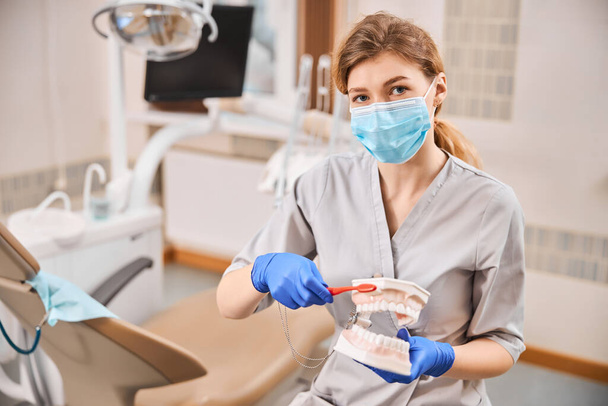 Techique di pulizia dei denti dimostrato dal dentista in clinica - Foto, immagini