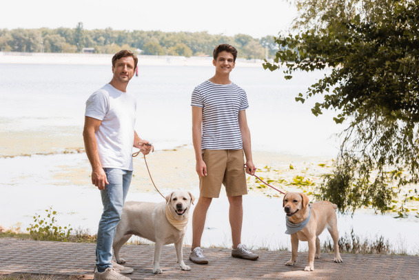 father and teenager son holding leashes and standing with golden retrievers near lake  - Foto, immagini