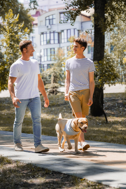 father and teenager son looking at each other and walking in park with golden retriever  - Photo, Image