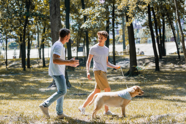 Baba, Golden Retriever 'la parkta yürüyen genç çocuğa bakıyor.  - Fotoğraf, Görsel